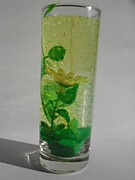 размер 14*5 см